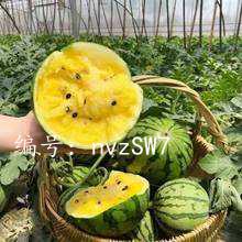 벻